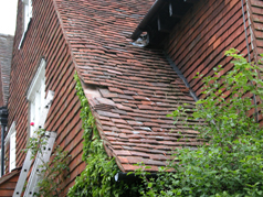 Our roof maintenance plan includes replacement of damaged and missing tiles